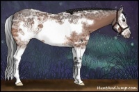 Horse Color:Bay Ice Sabino Splash Frame