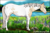 Horse Color:Gray Silver Amber Cream Champagne Roan Dun Splash Tobiano Frame Appaloosa Rabicano 