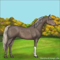Horse Color:Silver Black 
