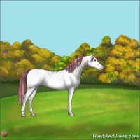 Horse Color:Painted White Spotted Bay Dun