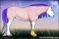 Horse Color:Watercolor Sable Champagne Dun Sabino Splash