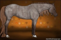 Horse Color:Liver Red Roan 