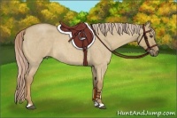 Horse Color:Palomino Roan Dun 