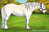 Horse Color:Silver Buckskin Onyx Tobiano 