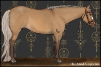 Horse Color:Silver Bay Dun 