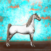 Horse Color:Gray Liver Red Dun Sabino Appaloosa Brindle