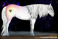 Horse Color:Liver Red Dun Roan Snowdrop Pearl Onyx Mushroom Splash Near Fewspot Rabicano 