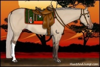 Horse Color:Silver Bay Dun 