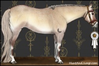 Horse Color:Silver Bay Roan Onyx 