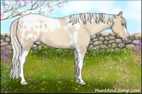 Horse Color:Gray Silver Amber Cream Champagne Roan Dun Splash Tobiano Frame Appaloosa Rabicano 