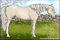 Horse Color:Palomino Pearl