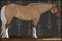 Horse Color:Silver Brown Dun 
