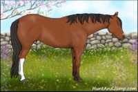 Horse Color:Brown 