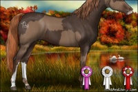 Horse Color:Liver Red Dun  and Liver Chestnut 