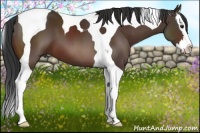 Horse Color:Brown Splash Tobiano