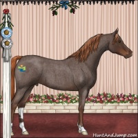 Horse Color:Liver Red Roan