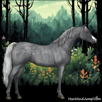 Horse Color:Silver Blue Chinchilla Roan 