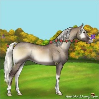 Horse Color:Liver Red Dun Onyx Mushroom 