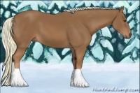 Horse Color:Chestnut Mushroom 