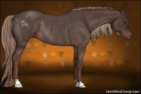 Horse Color:Liver Red Roan Rabicano