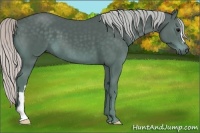 Horse Color:Silver Black