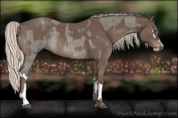 Horse Color:Silver Blue Roan Splash Rabicano  and Silver Blue Roan Rabicano 