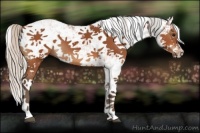 Horse Color:Silver Bay Sabino 