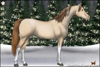 Horse Color:Bay Pearl Dun Tobiano 