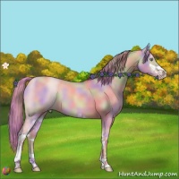 Horse Color:Nacre Watercolor Gold Champagne Dun Sabino 