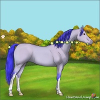 Horse Color:Watercolor Buckskin Dun 