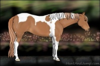 Horse Color:Chestnut Tobiano 