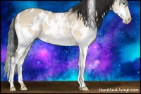 Horse Color:White Spotted Bay Dun Splash 