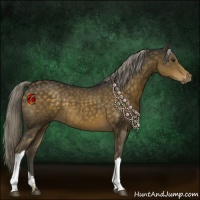 Horse Color:Chocolate Palomino 