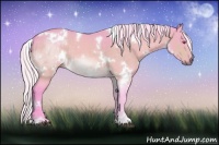 Horse Color:Watercolor White Spotted Silver Brown Chinchilla 