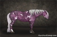 Horse Color:Watercolor White Spotted Silver Brown Ice 