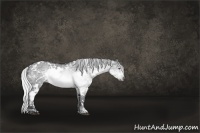 Horse Color:White Spotted Silver Brown Chinchilla Ice Dun 