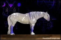 Horse Color:Watercolor White Spotted Silver Brown Dun Sabino 
