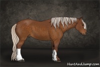 Horse Color:Chocolate Silver Buckskin 