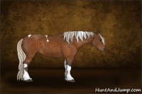 Horse Color:Silver Buckskin Tobiano 