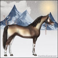 Horse Color:Liver Red Onyx 