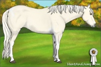 Horse Color:Palomino Dun Tobiano 