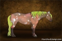 Horse Color:Painted White Spotted Silver Brown Dun
