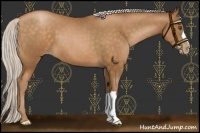 Horse Color:Silver Brown Pearl