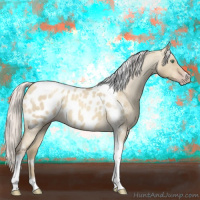 Horse Color:Gray Silver Amber Cream Champagne Roan Dun Splash Tobiano Frame Near Leopard Rabicano 