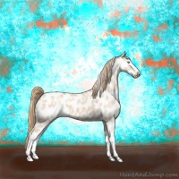 Horse Color:Perlino Dun Sabino Appaloosa