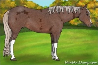 Horse Color:Silver Bay Ice