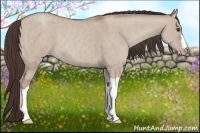 Horse Color:Classic Champagne Dun 