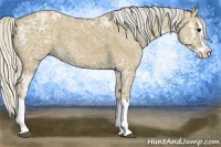 Horse Color:Silver Smoky Grullo Ice Splash 