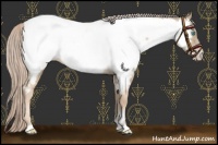 Horse Color:Chocolate Palomino Pearl Near Fewspot Rabicano 