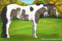 Horse Color:White Spotted Smoky Grullo Tobiano Rabicano Brindle 